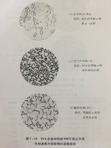 1520843049631855.jpg 7-15.jpg