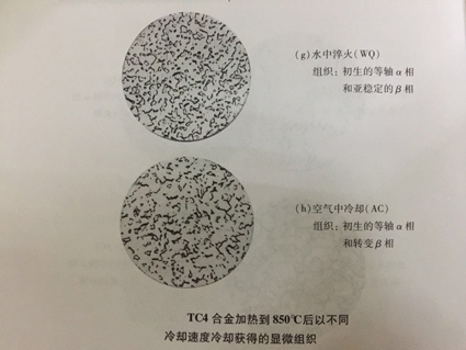 1520843115203551.jpg 7-16.jpg