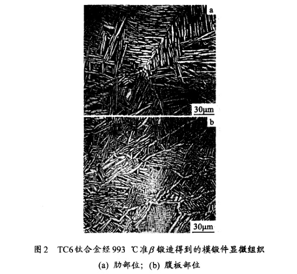 TC6鈦合金經993℃準β鍛造得到的模鍛件顯微組織(a) 肋部位;(b) 腹板部位 TC6鈦合金經993℃準β鍛造得到的模鍛件顯微組織(a) 肋部位;(b) 腹板部位