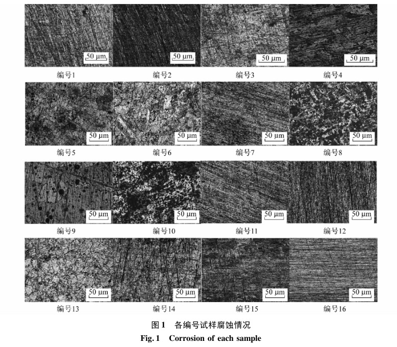 各編號試樣腐蝕情況 各編號試樣腐蝕情況