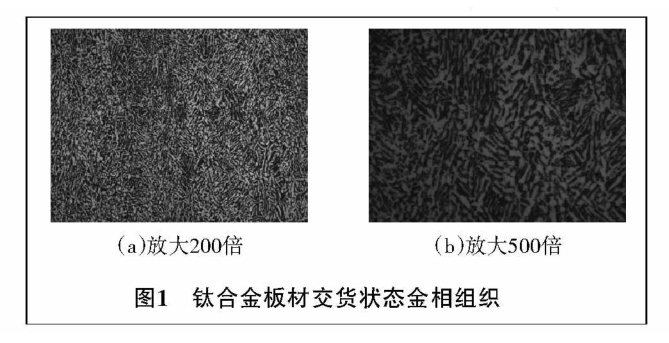 1636106605132315.jpg t1.jpg