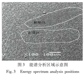 能譜分析區(qū)域示意圖 能譜分析區(qū)域示意圖