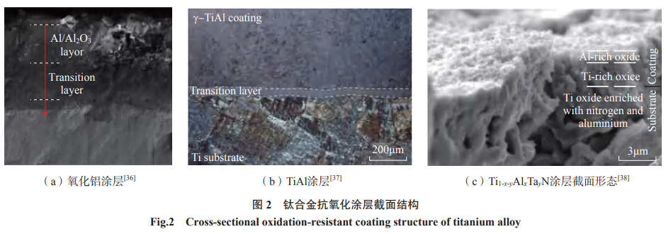 1652567852533109.jpg t2.jpg