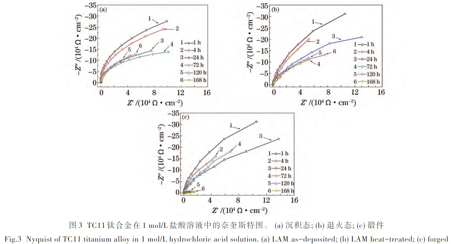 1672489540646074.jpg t3.jpg