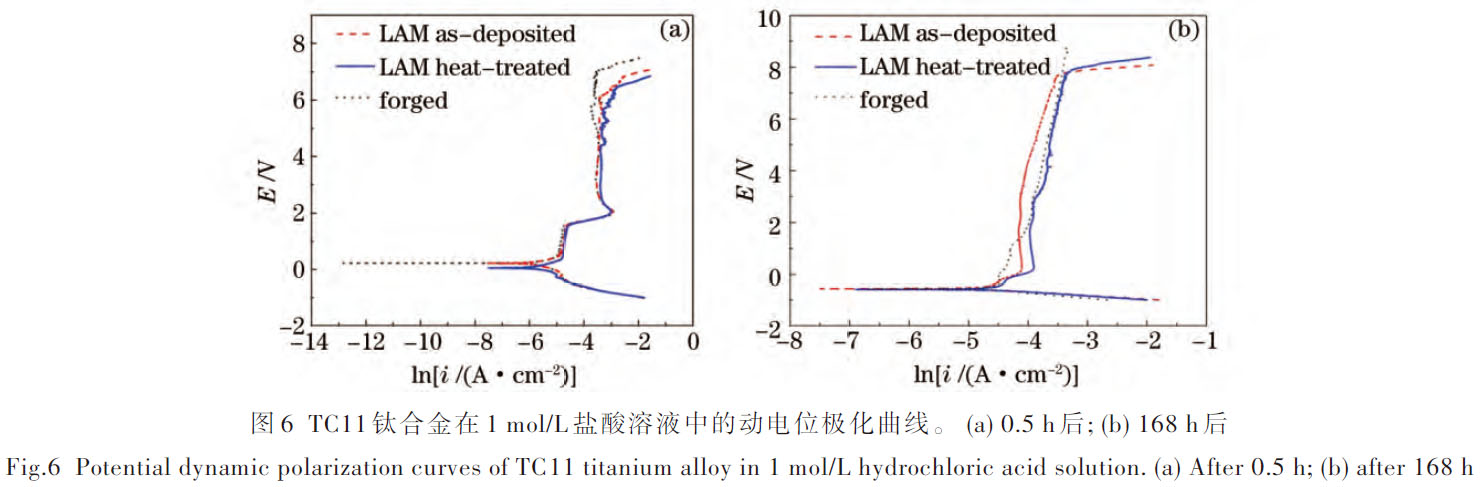 1672489588329503.jpg t6.jpg