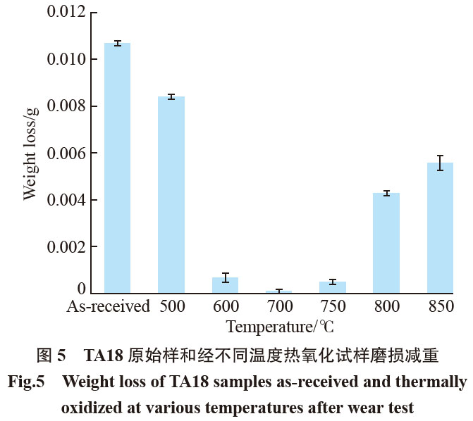 1681544937565165.jpg t5.jpg