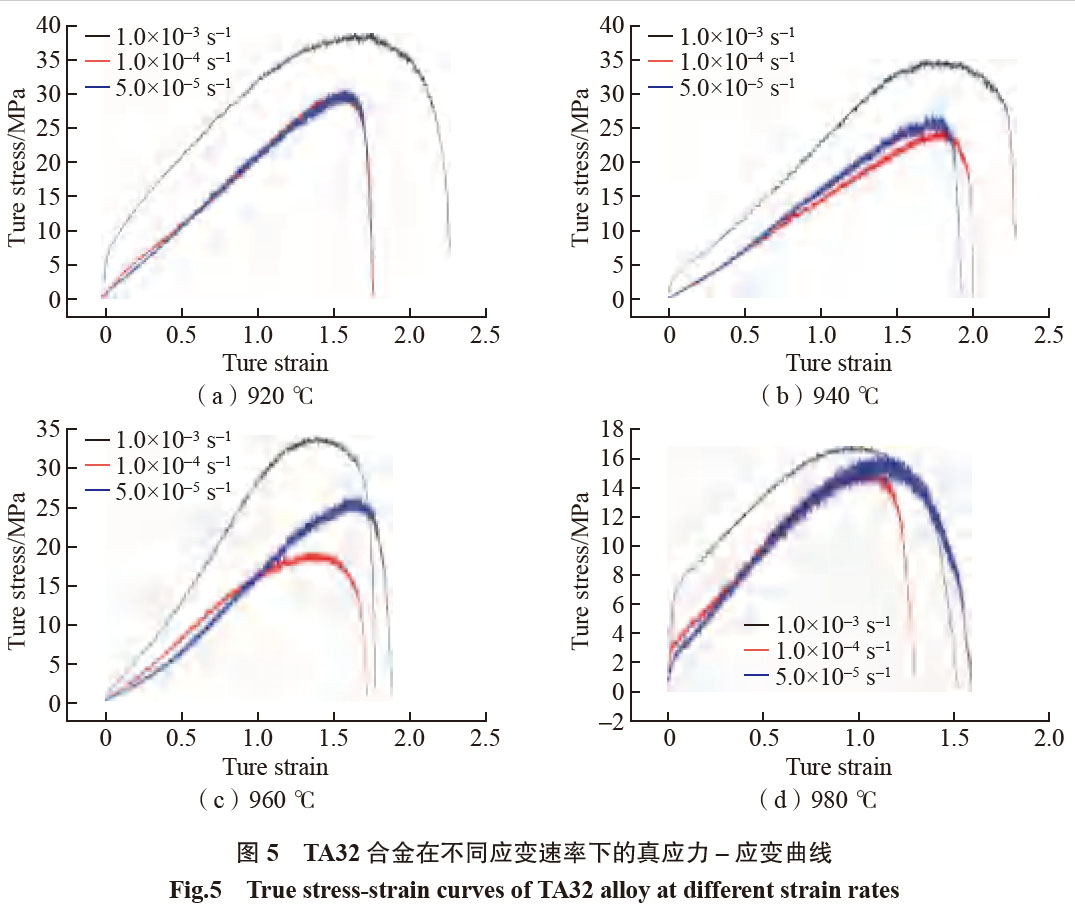 1681616032901535.jpg t5.jpg