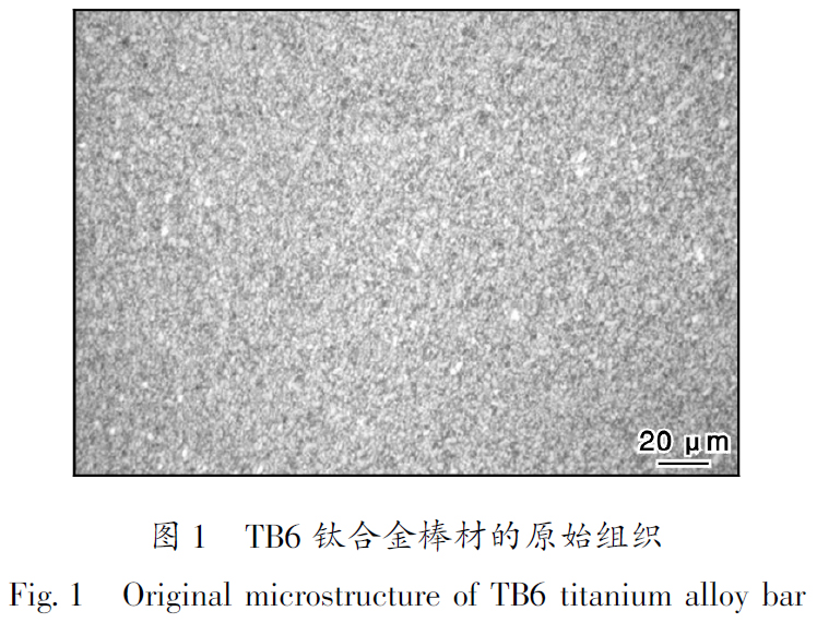 1683452425517114.jpg t1.jpg