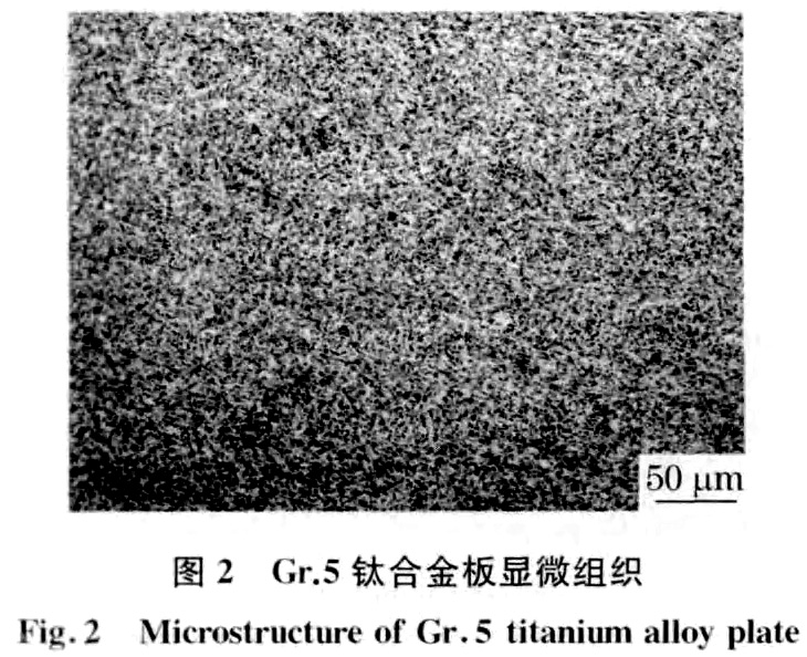 1687579761659071.jpg t2.jpg