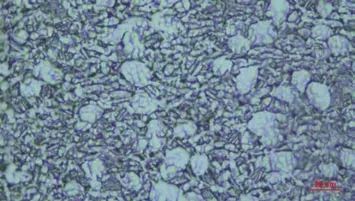 1691499435616299.jpg 5.jpg