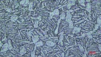 1691499446308265.jpg 6.jpg