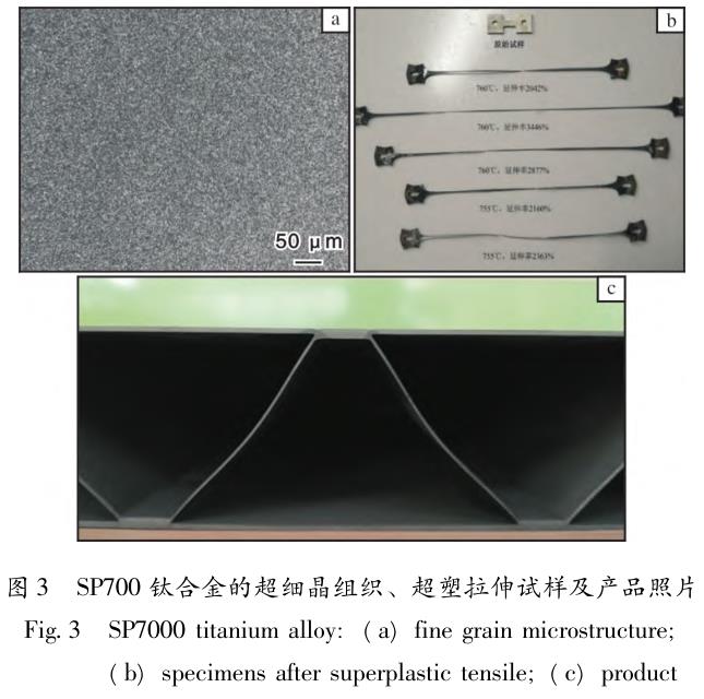 1692019421436588.jpg t3.jpg