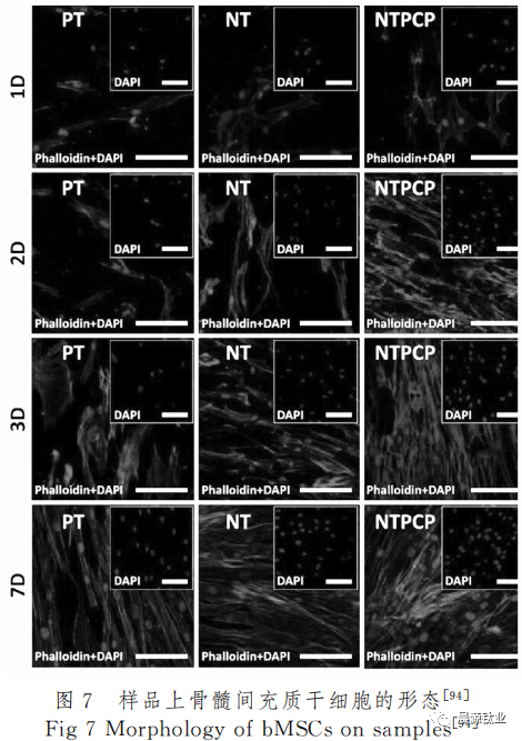 1692154917747283.png 10.png