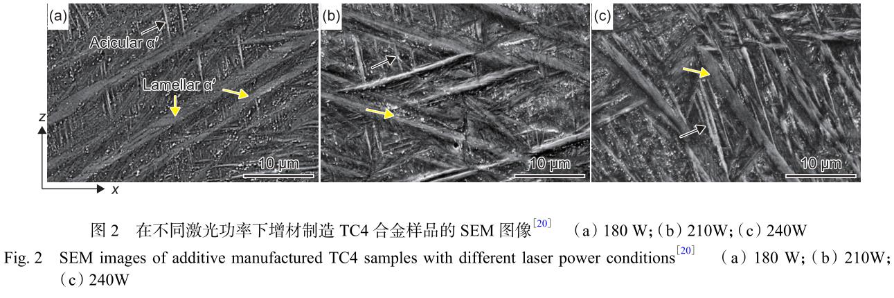 1692867394802415.jpg 2.jpg