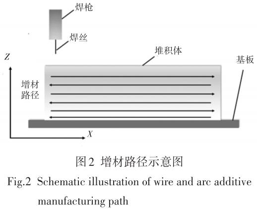 1694436791308088.jpg t2.jpg