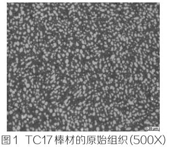 1694570078820105.jpg t1.jpg