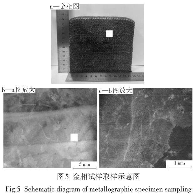 1695567521947098.jpg t5.jpg