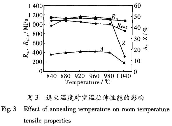 1696458875350813.jpg t3.jpg