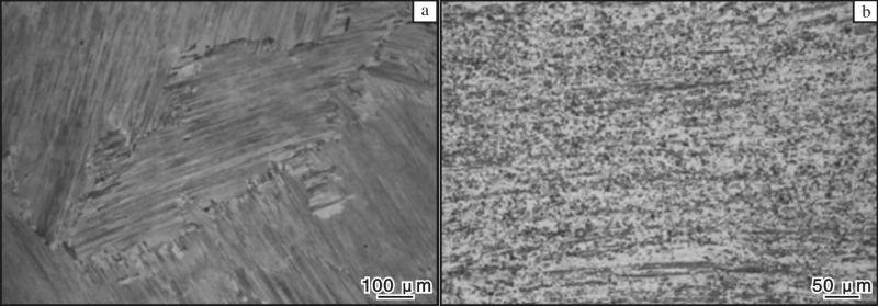 1697976419562283.jpg 6.jpg