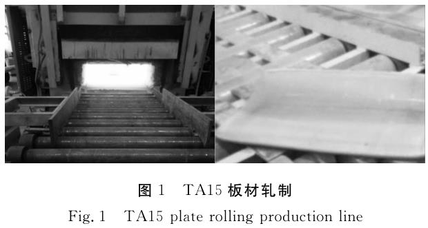 1697980253461871.jpg t1.jpg