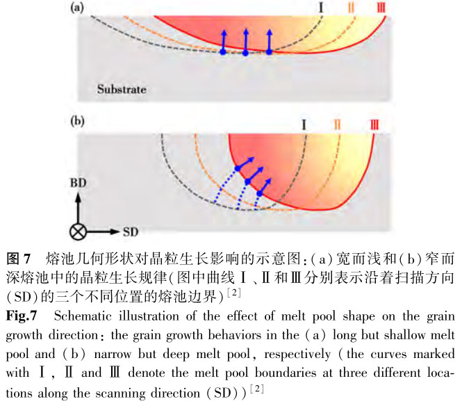 1699451474786498.jpg t7.jpg