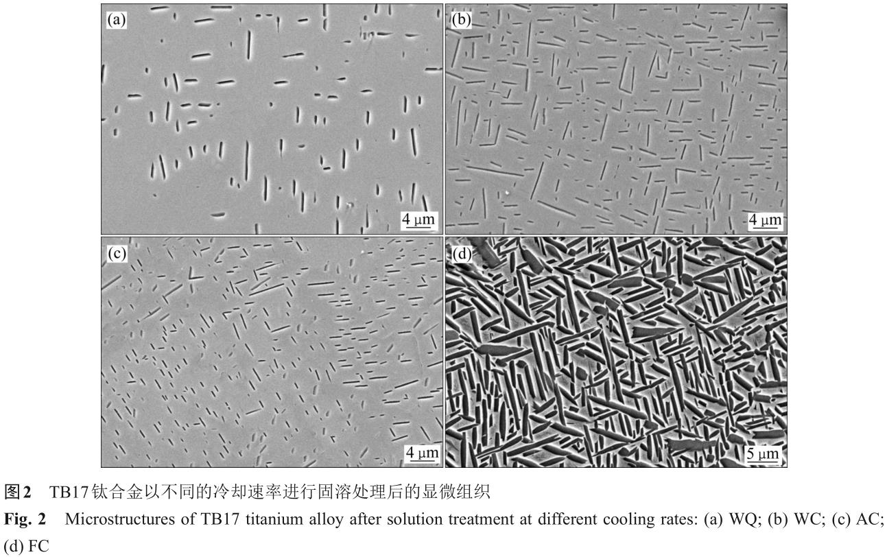 1701442169953332.jpg t2.jpg