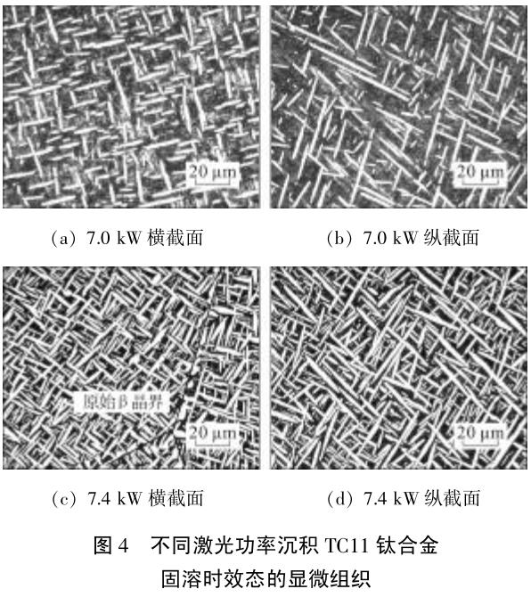 1701660518274592.jpg t4.jpg