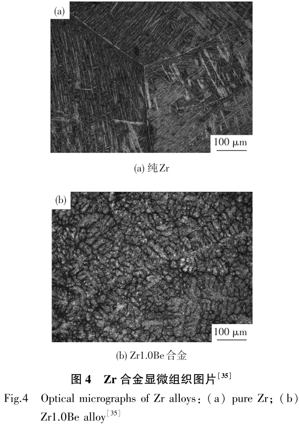 1702507557705419.jpg t4.jpg