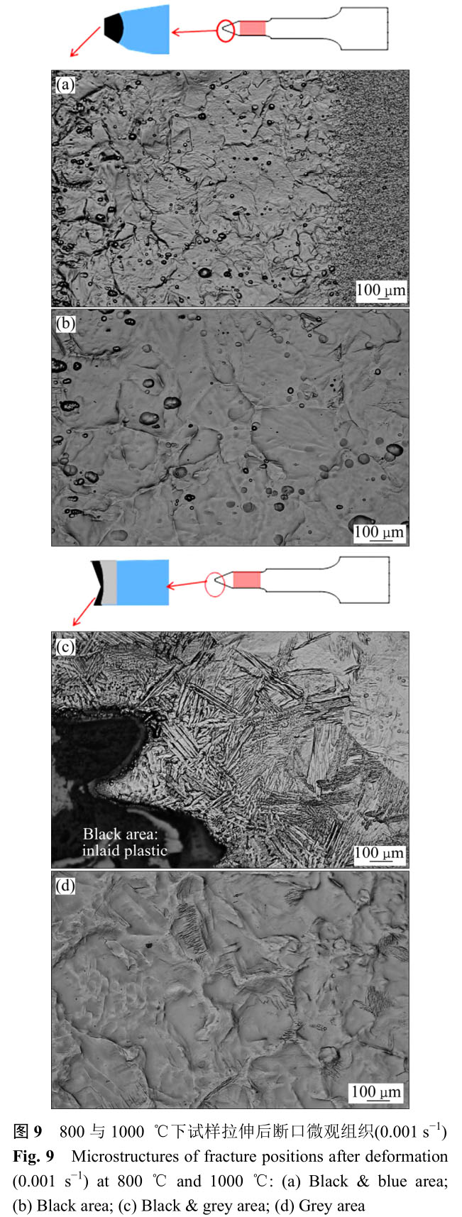 1705735562299093.jpg t9.jpg