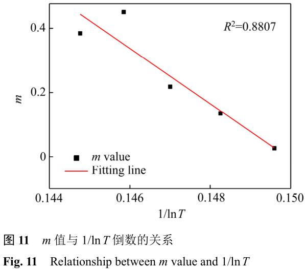 1705735679413955.jpg t11.jpg