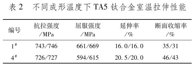 1705745168986880.jpg b2.jpg