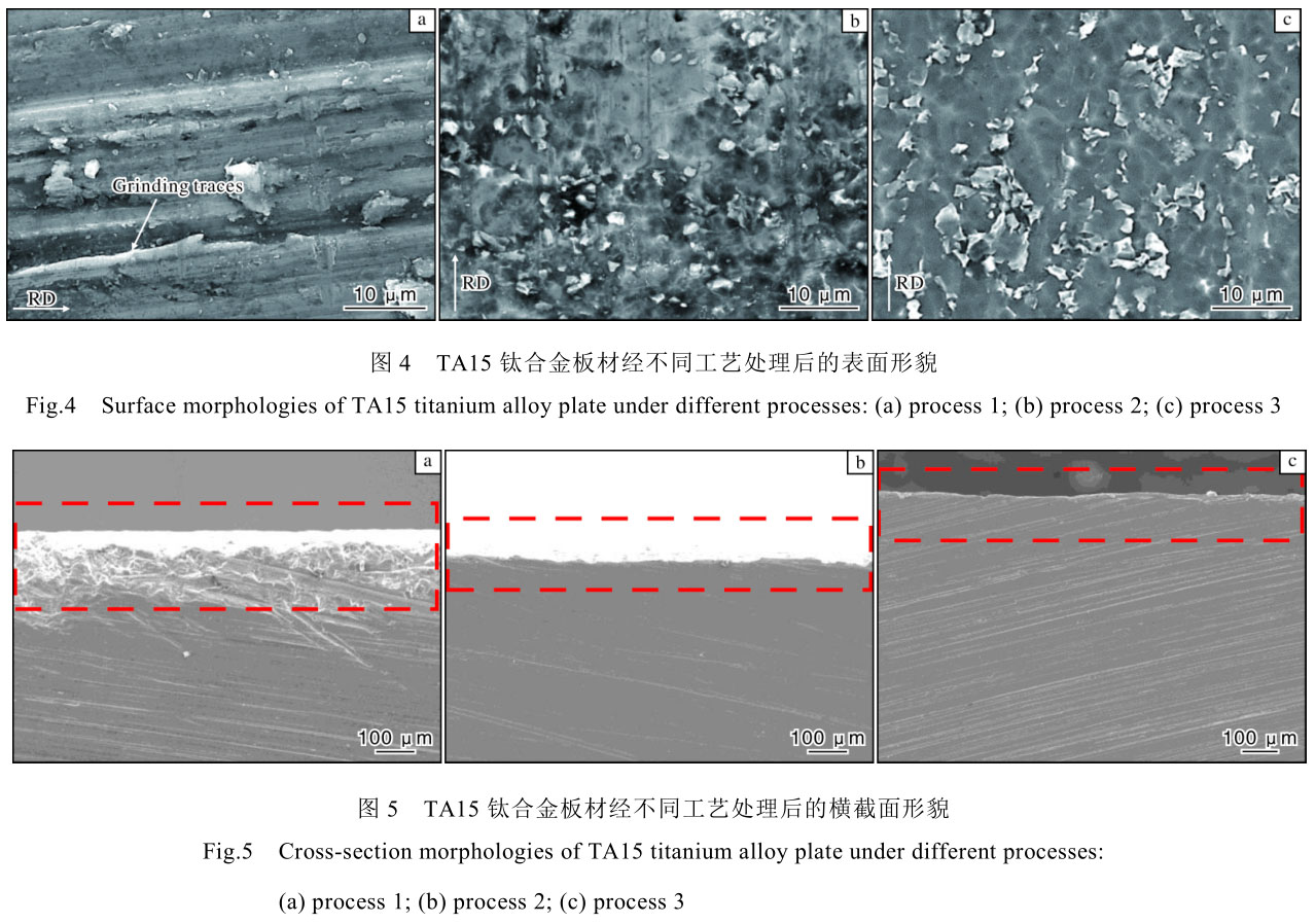 1706255460557173.jpg t4-5.jpg