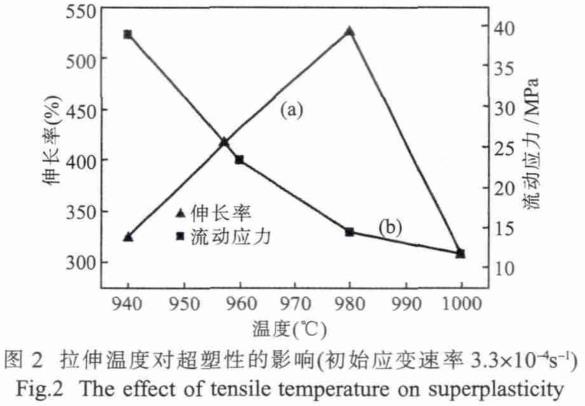 1708436982192598.jpg t2.jpg