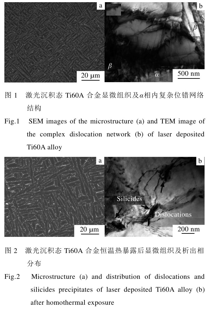 1708439135300512.jpg t1-2.jpg