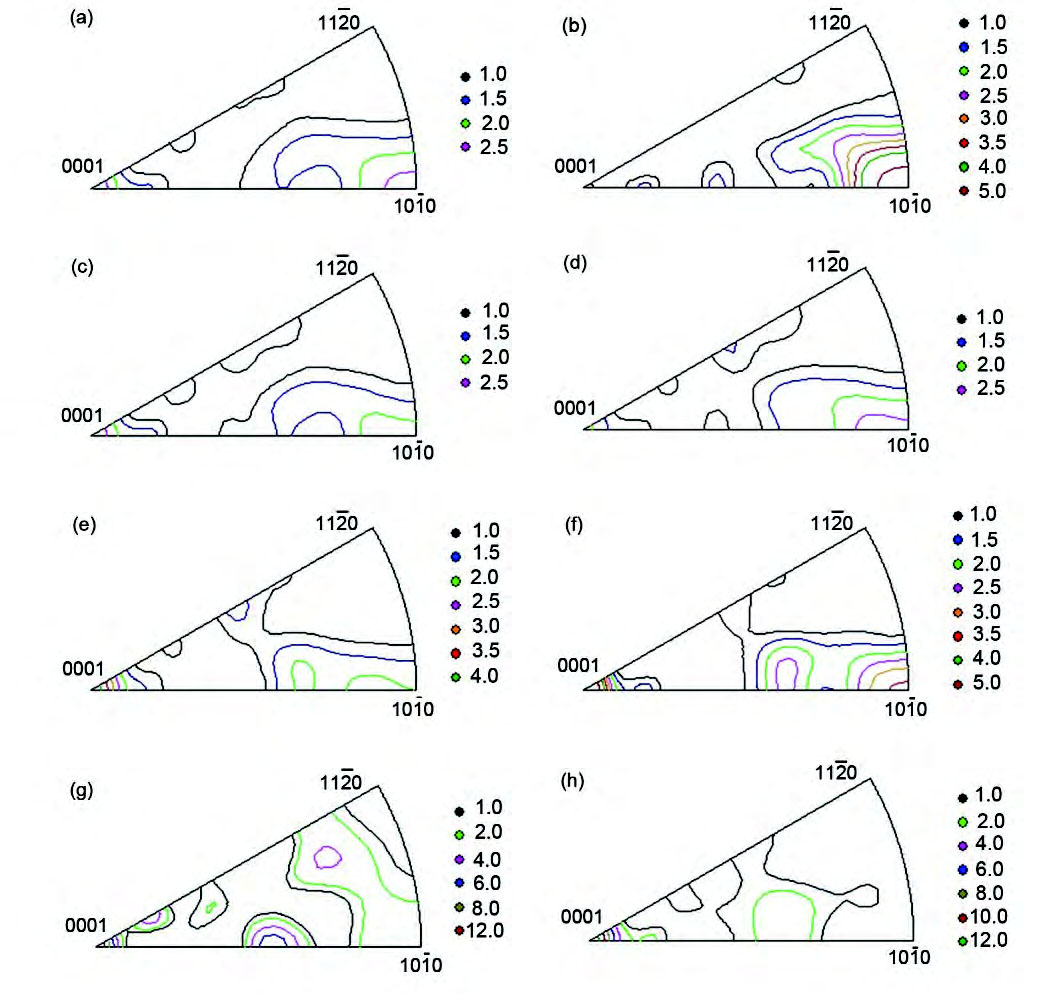 1709604711196086.jpg 3.jpg