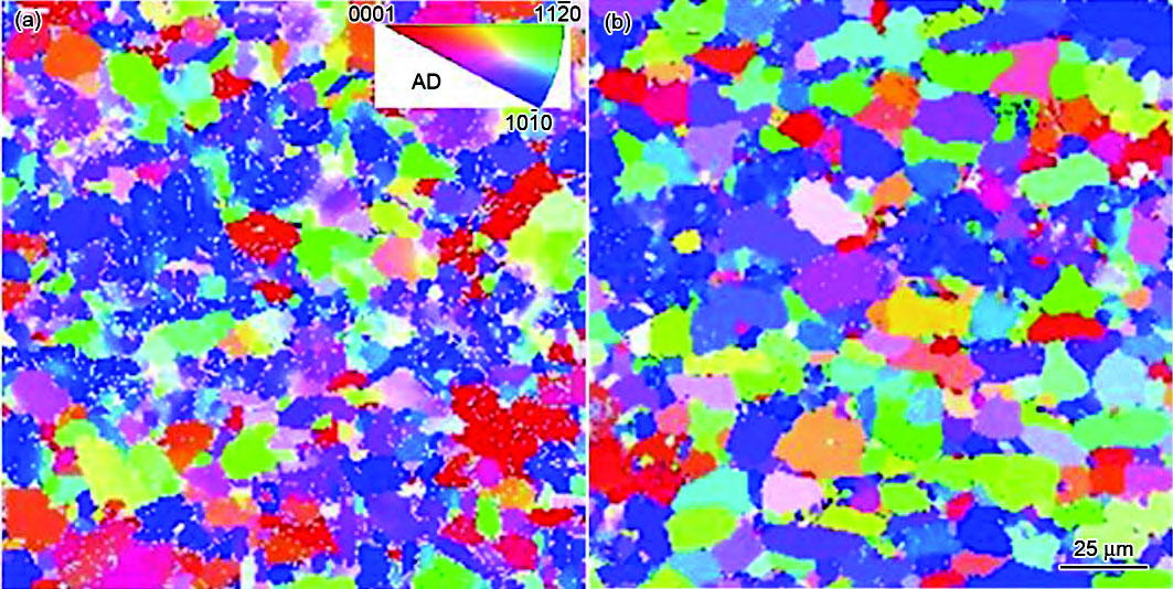 1709604773458785.jpg 5.jpg