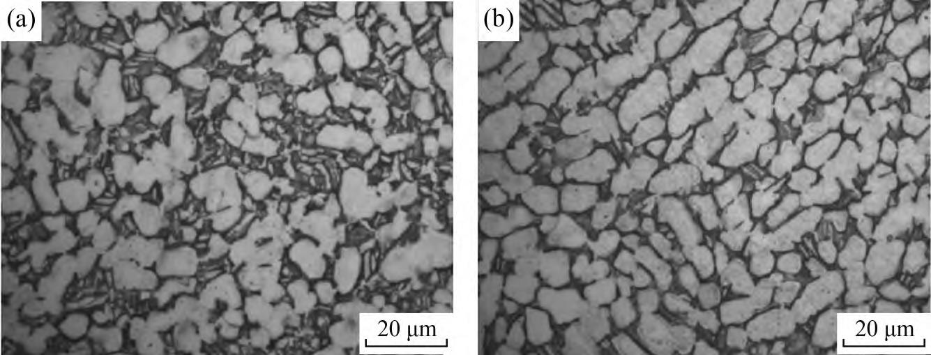 1710817685367467.jpg 1.jpg