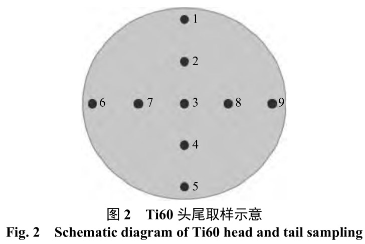 1712460603644365.jpg t2.jpg