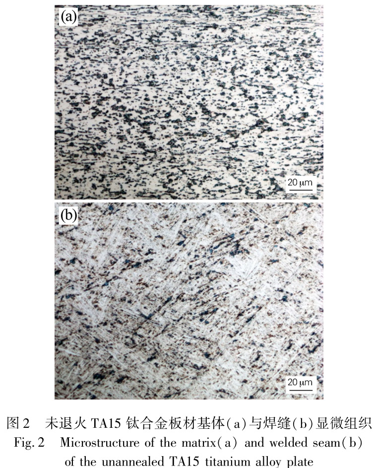 1712483636446725.jpg t2.jpg