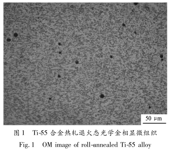 1713442853212180.jpg 未標題-1.jpg