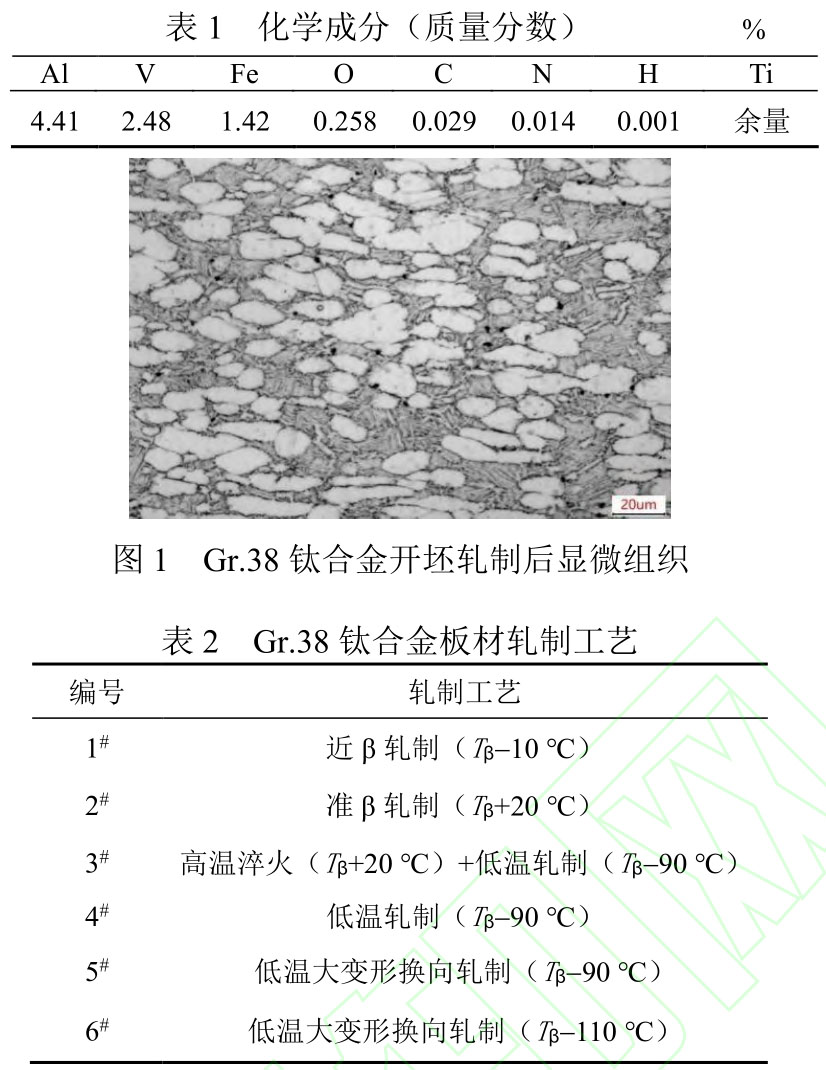 1717407391632121.jpg b1-t1-b2.jpg