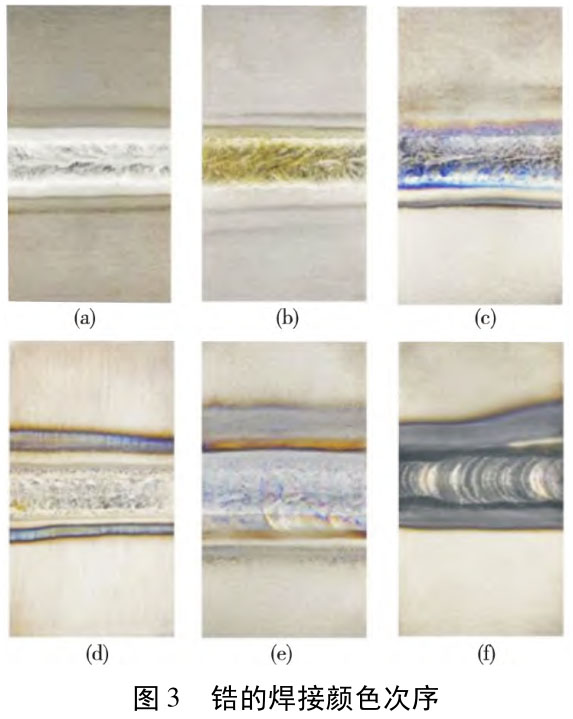 1717410872855214.jpg t3.jpg