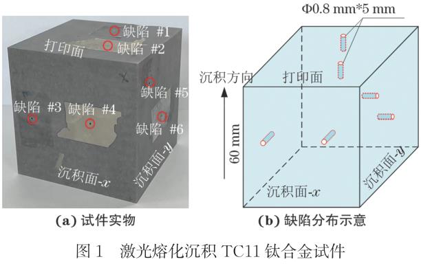 1724294438444581.jpg t1.jpg