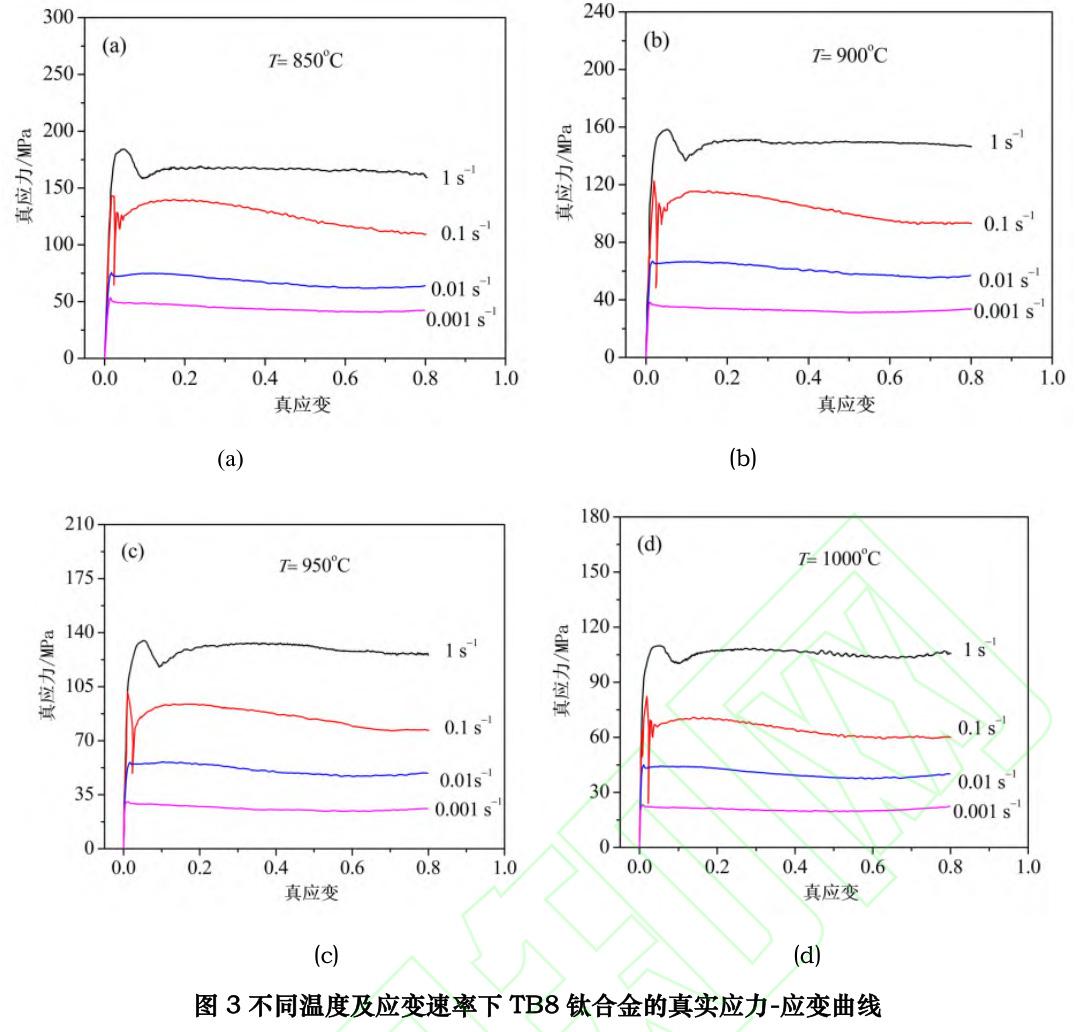 1727319333983229.jpg t3.jpg