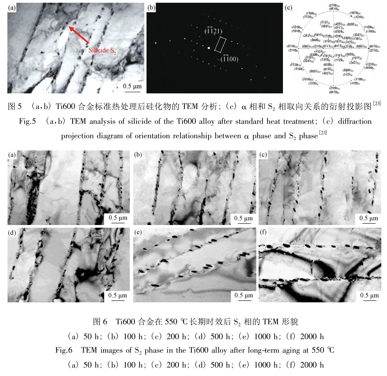 1727953377789360.jpg t6.jpg