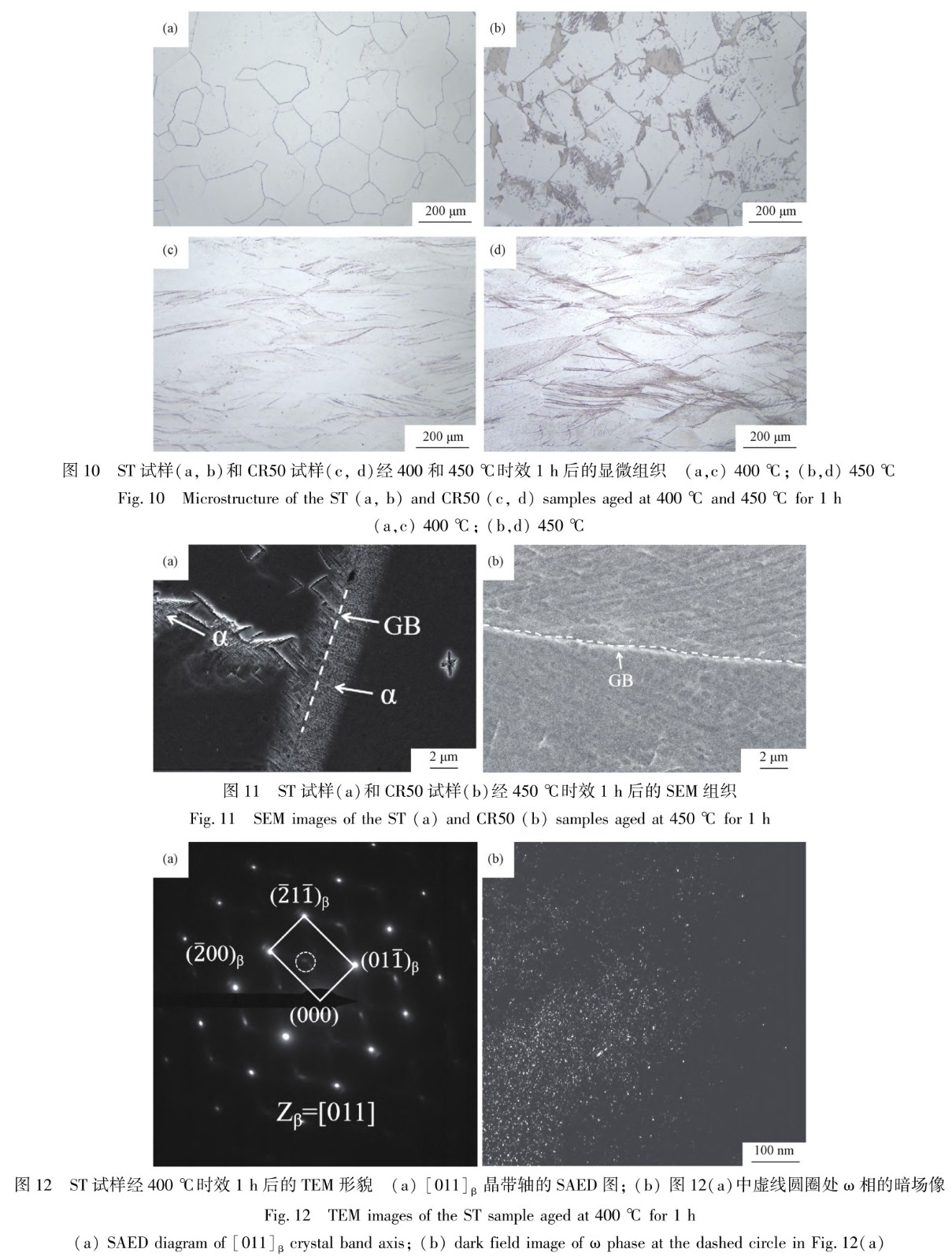 1728126546419435.jpg t10-12.jpg