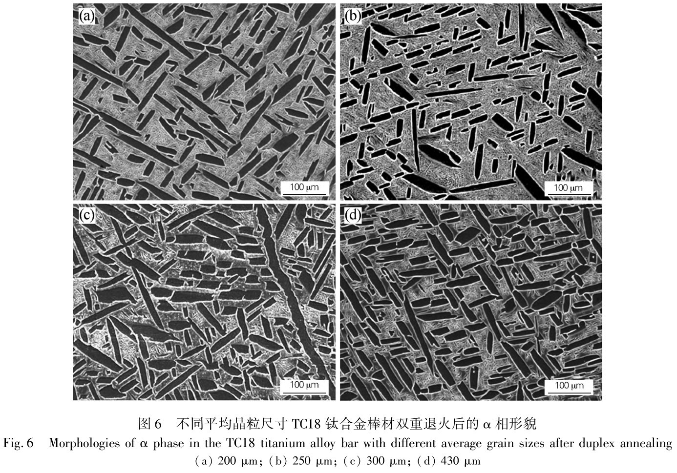 1728640218587573.jpg 6.jpg