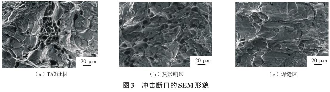 1729734614201560.jpg 3.jpg