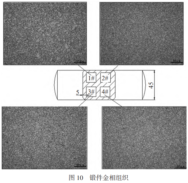 1733043941649718.png 10.png