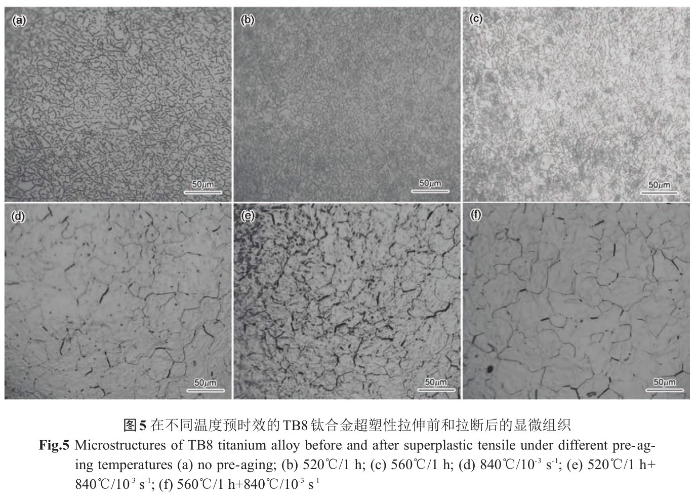 1733194252360720.jpg 5.jpg